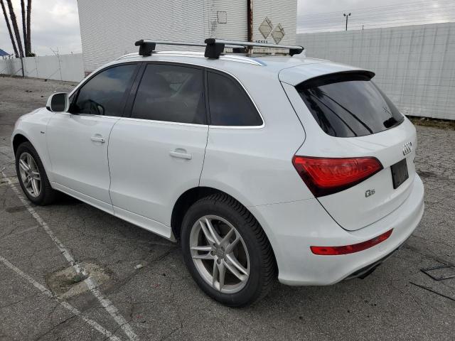 Photo 1 VIN: WA1DGAFP4DA024464 - AUDI Q5 