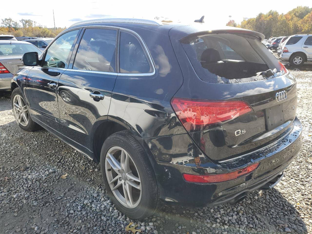 Photo 1 VIN: WA1DGAFP4FA041476 - AUDI Q5 