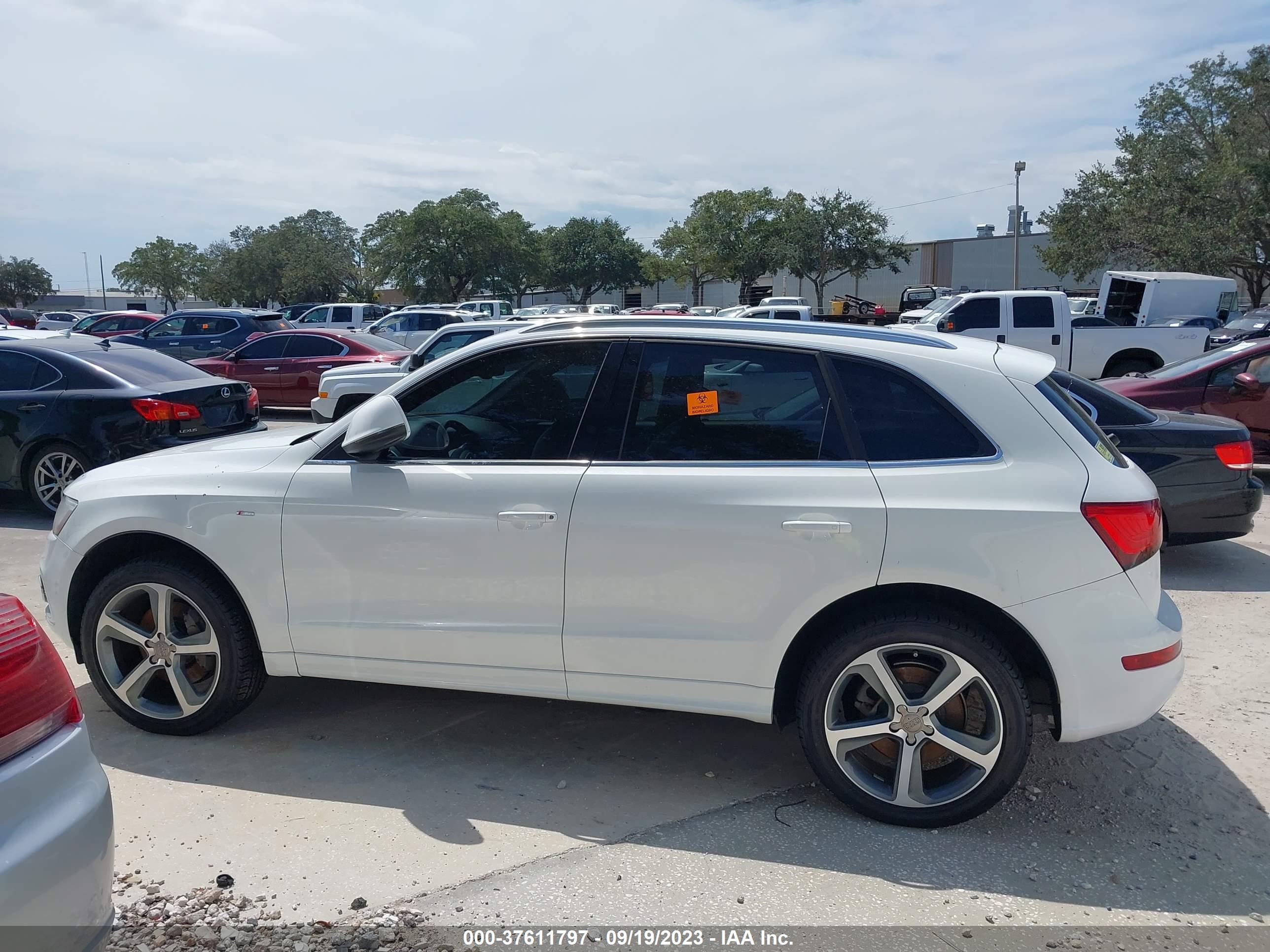 Photo 13 VIN: WA1DGAFP5EA102607 - AUDI Q5 