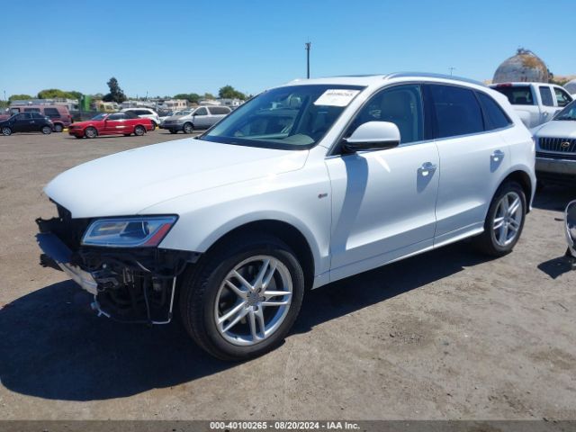 Photo 1 VIN: WA1DGAFP5FA146138 - AUDI Q5 