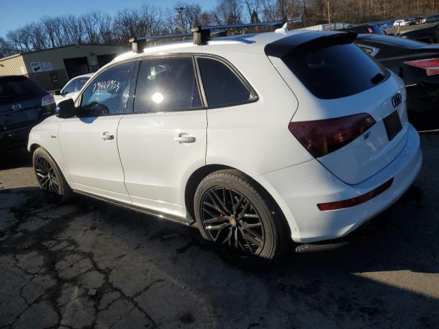 Photo 1 VIN: WA1DGAFP8DA101031 - AUDI Q5 