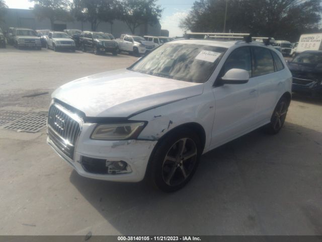 Photo 1 VIN: WA1DGAFP9FA144568 - AUDI Q5 