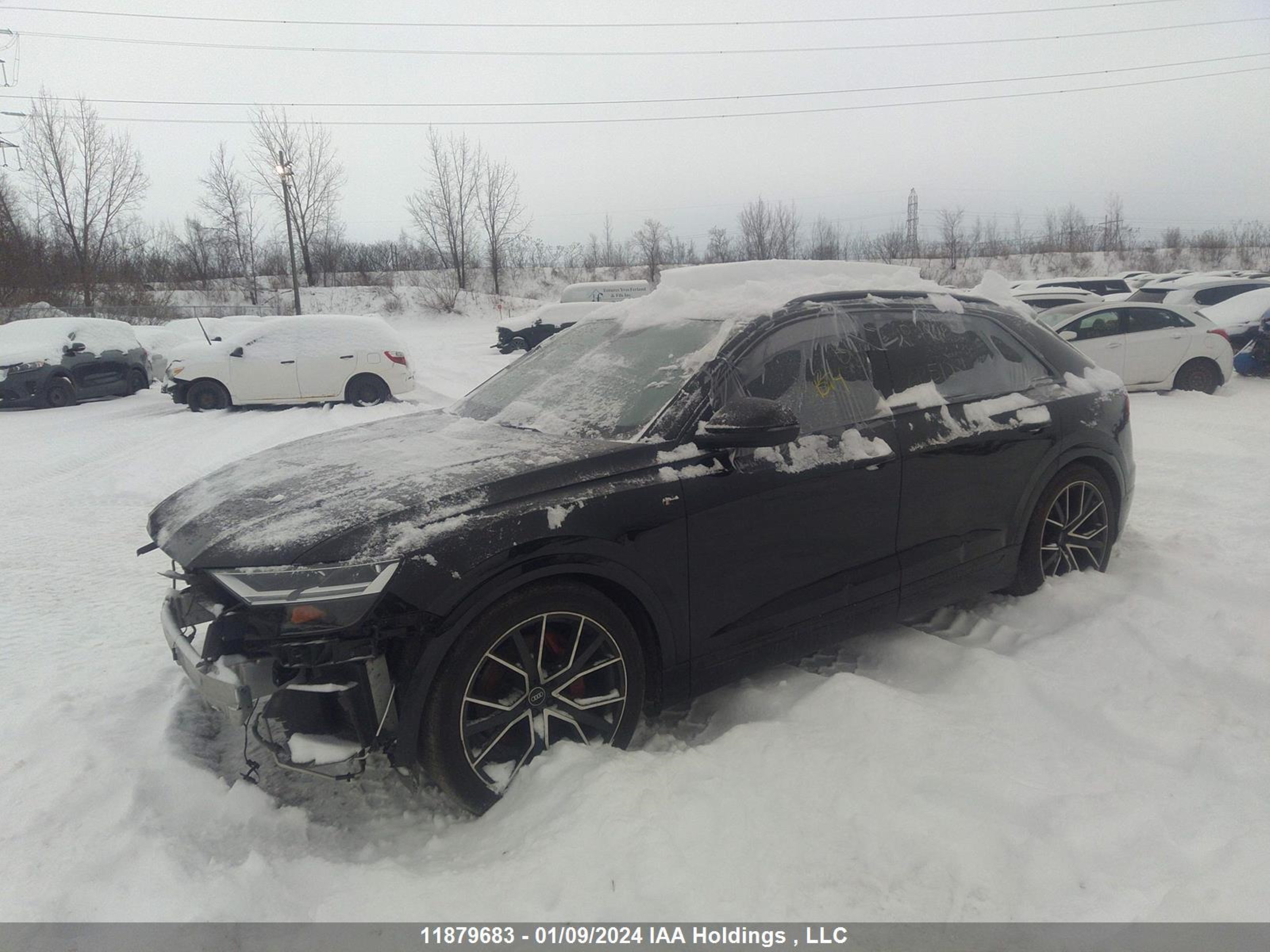 Photo 1 VIN: WA1DVAF10MD013512 - AUDI Q8 