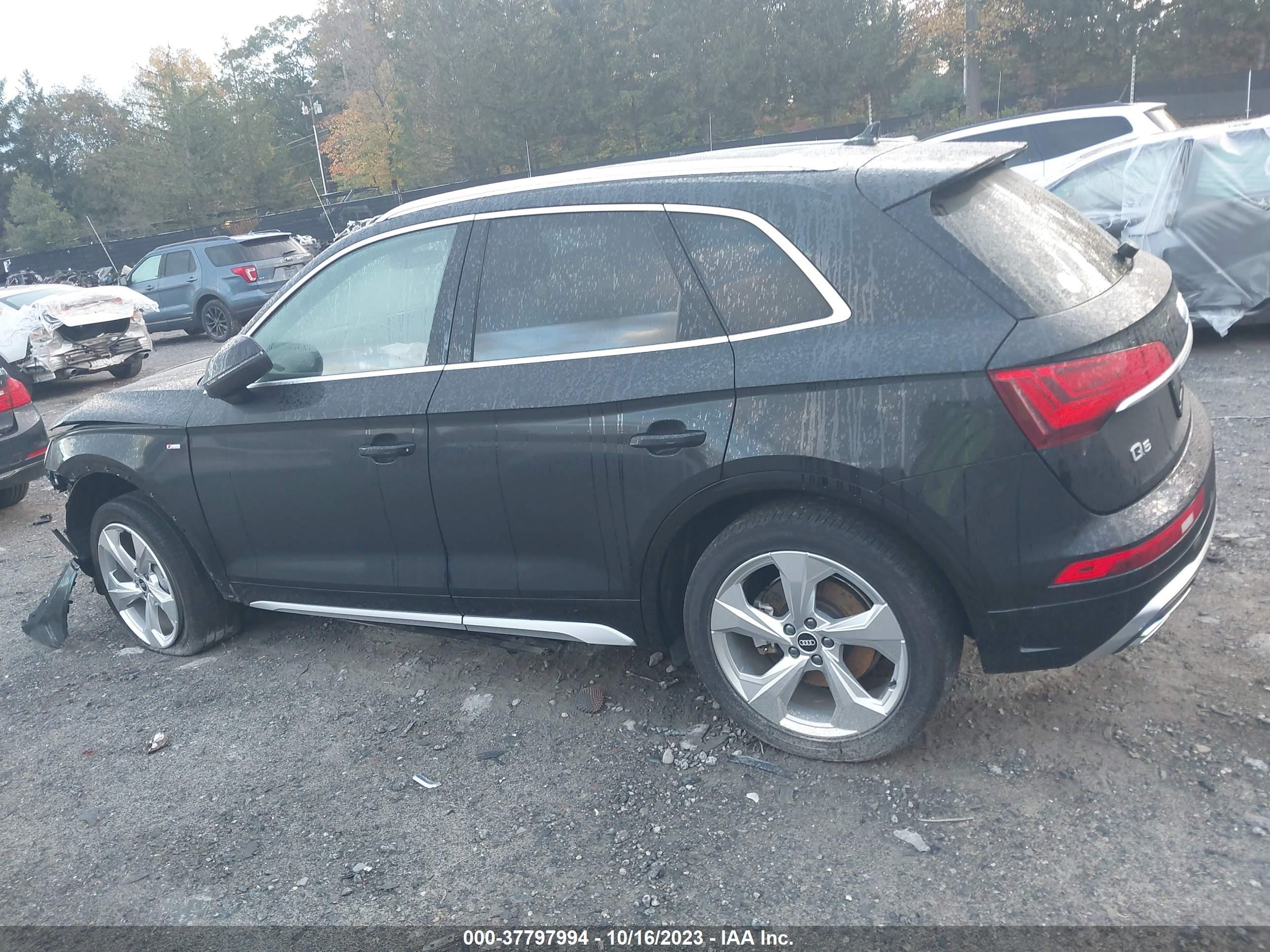 Photo 13 VIN: WA1EAAFY0N2026724 - AUDI Q5 