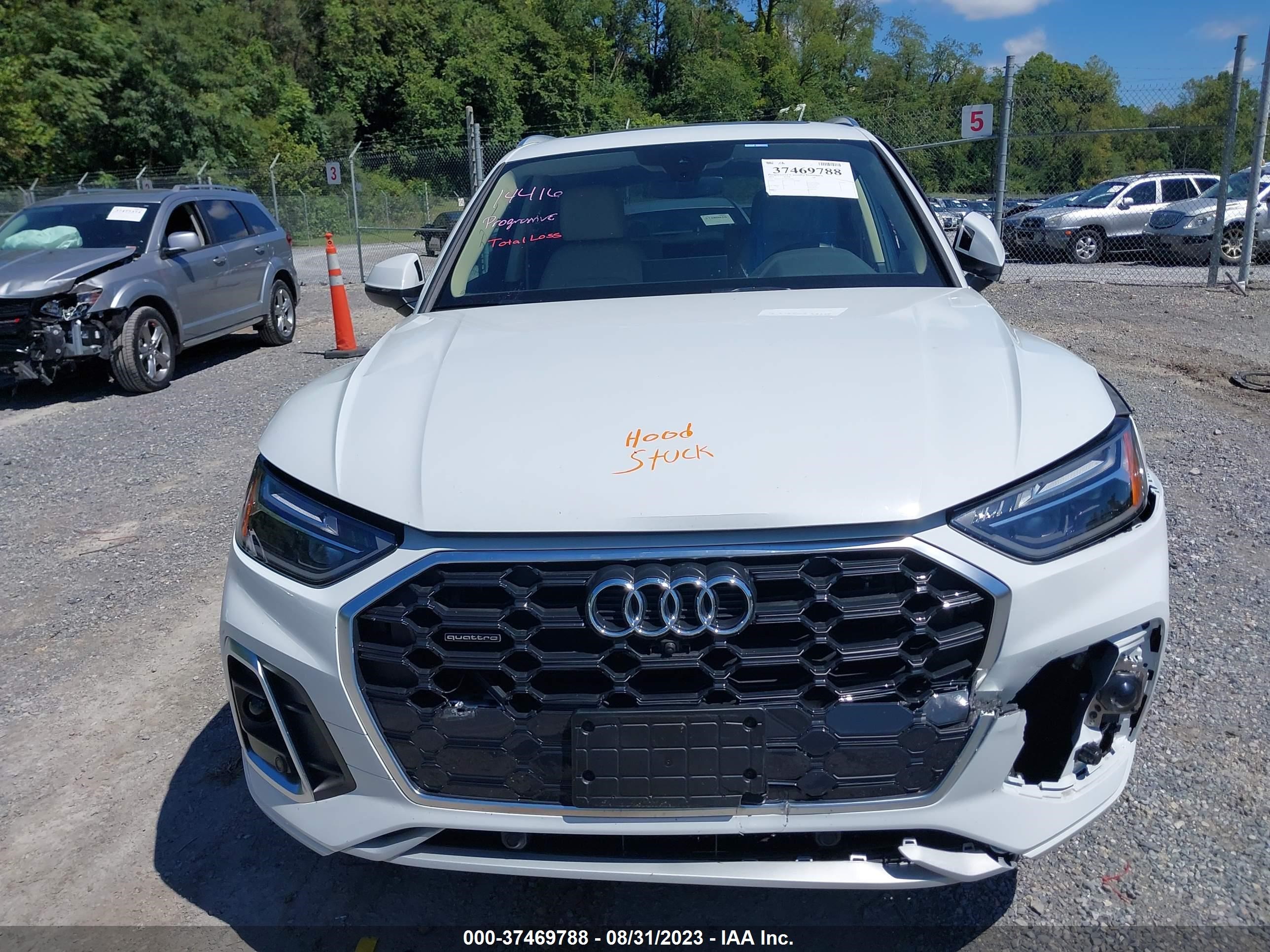 Photo 11 VIN: WA1EAAFY6P2016881 - AUDI Q5 