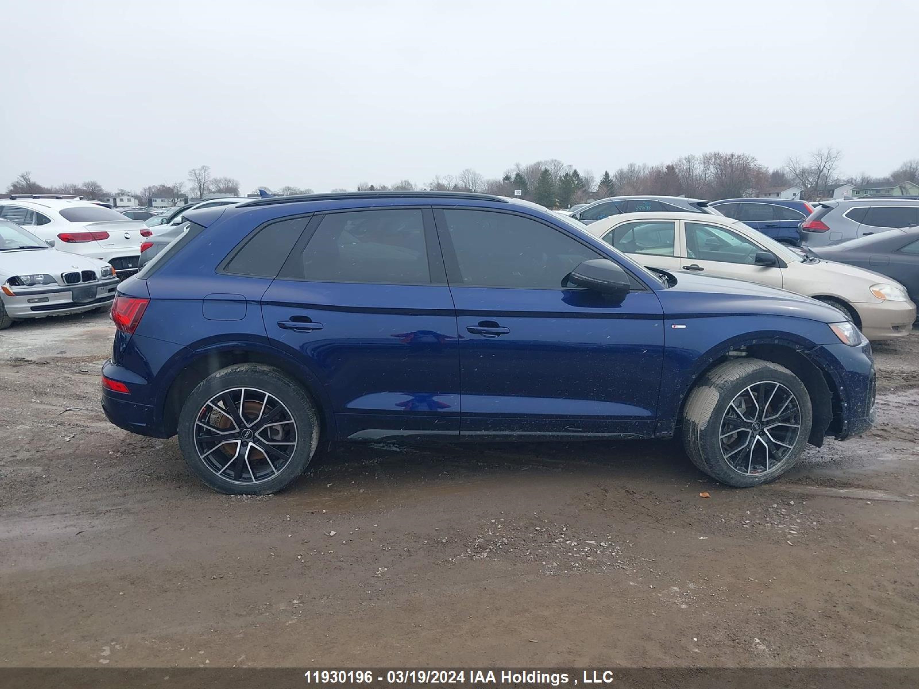 Photo 13 VIN: WA1FAAFY4N2032448 - AUDI Q5 