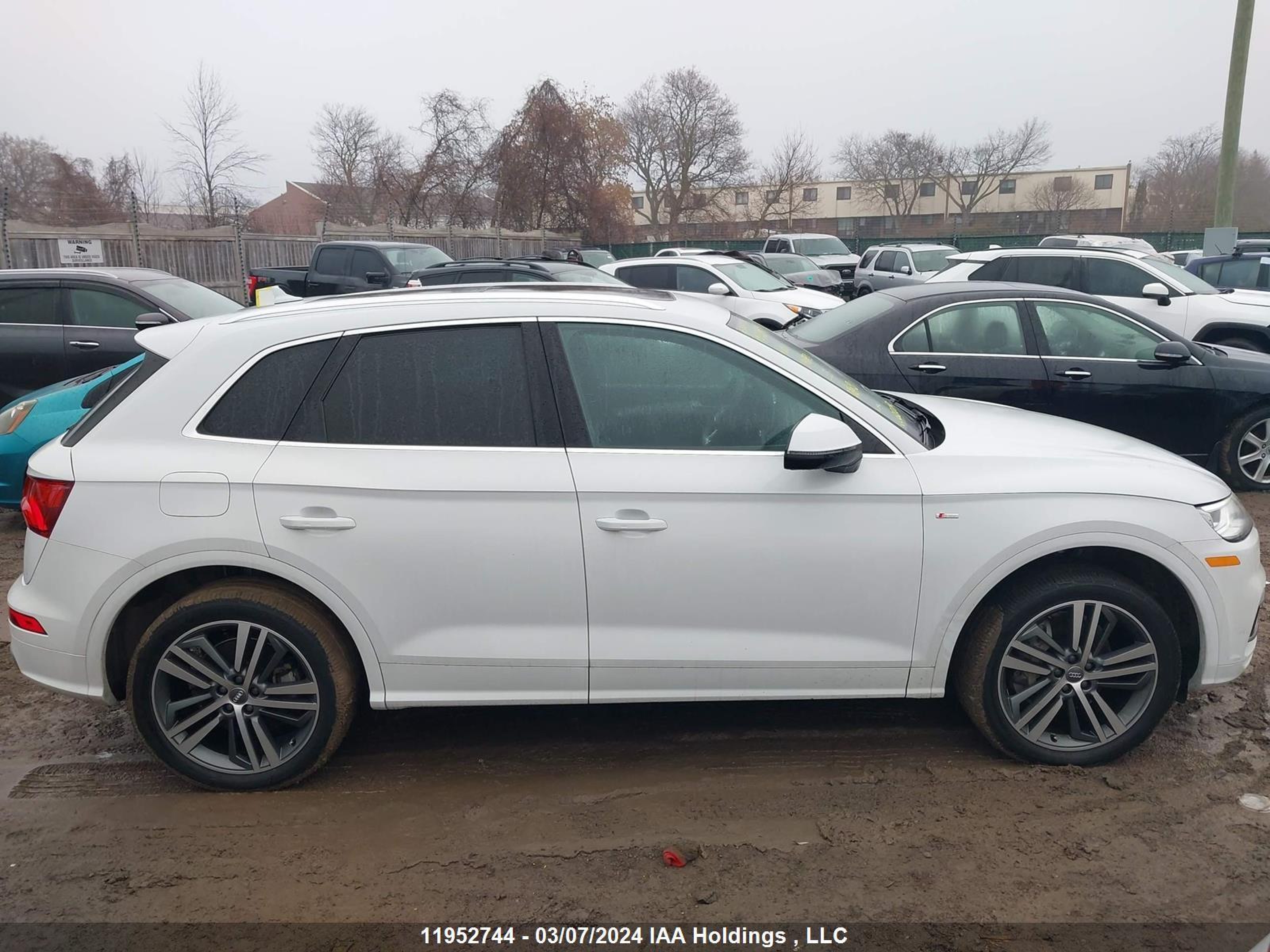 Photo 12 VIN: WA1FNAFY7J2148743 - AUDI Q5 