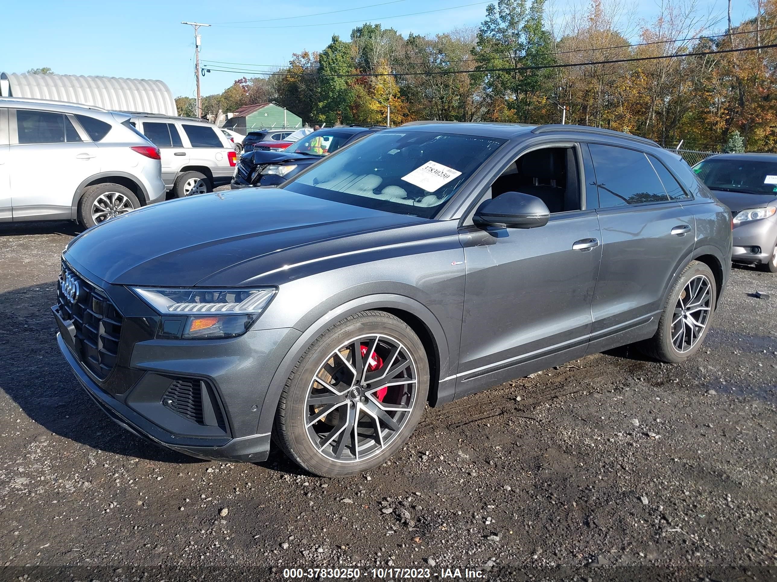 Photo 1 VIN: WA1FVAF14KD042842 - AUDI Q8 