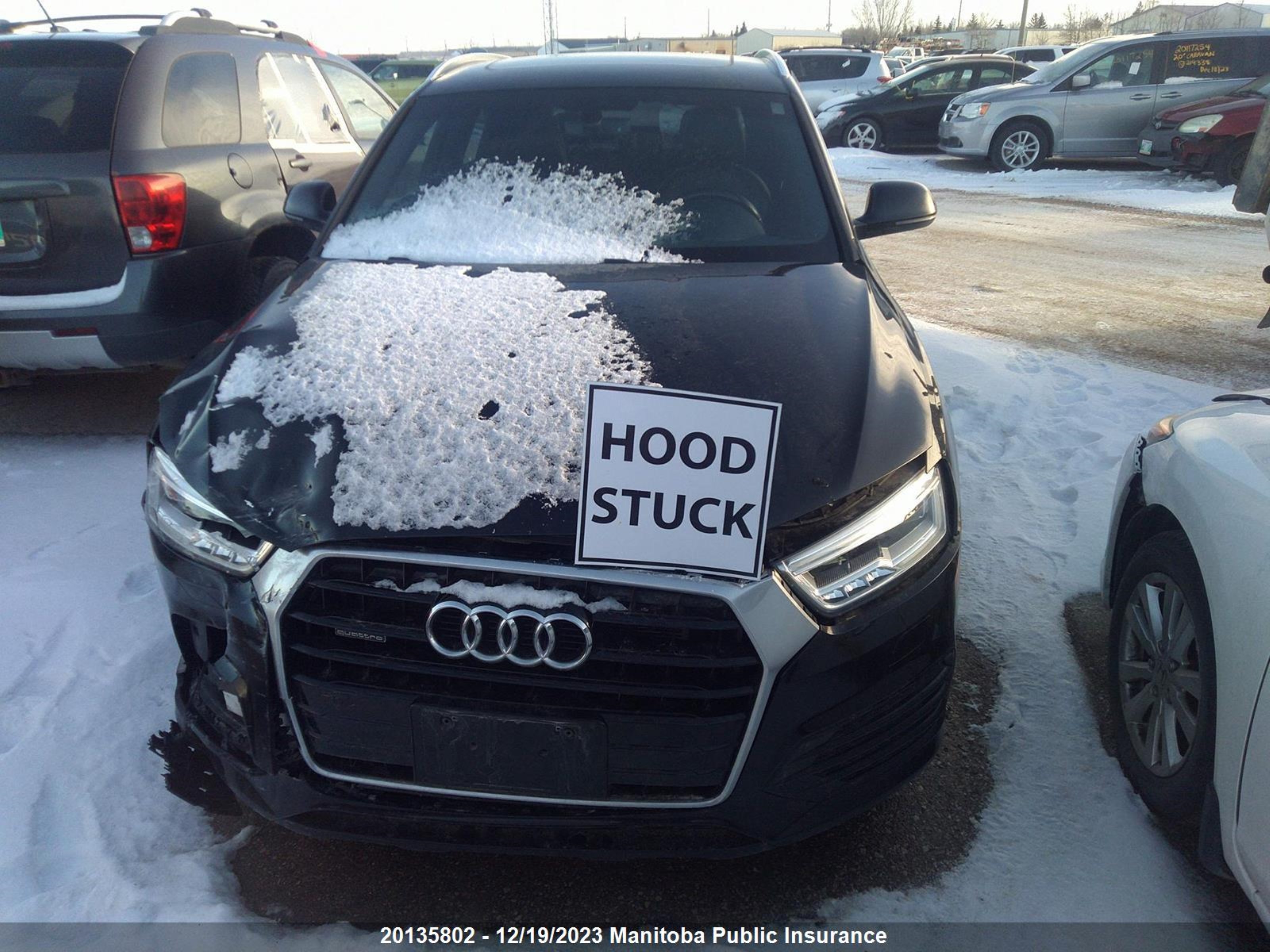 Photo 9 VIN: WA1GFCFS9GR001333 - AUDI Q3 