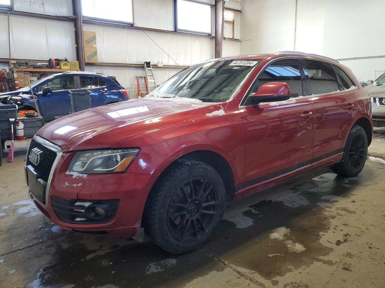 Photo 0 VIN: WA1KK78R99A030100 - AUDI Q5 