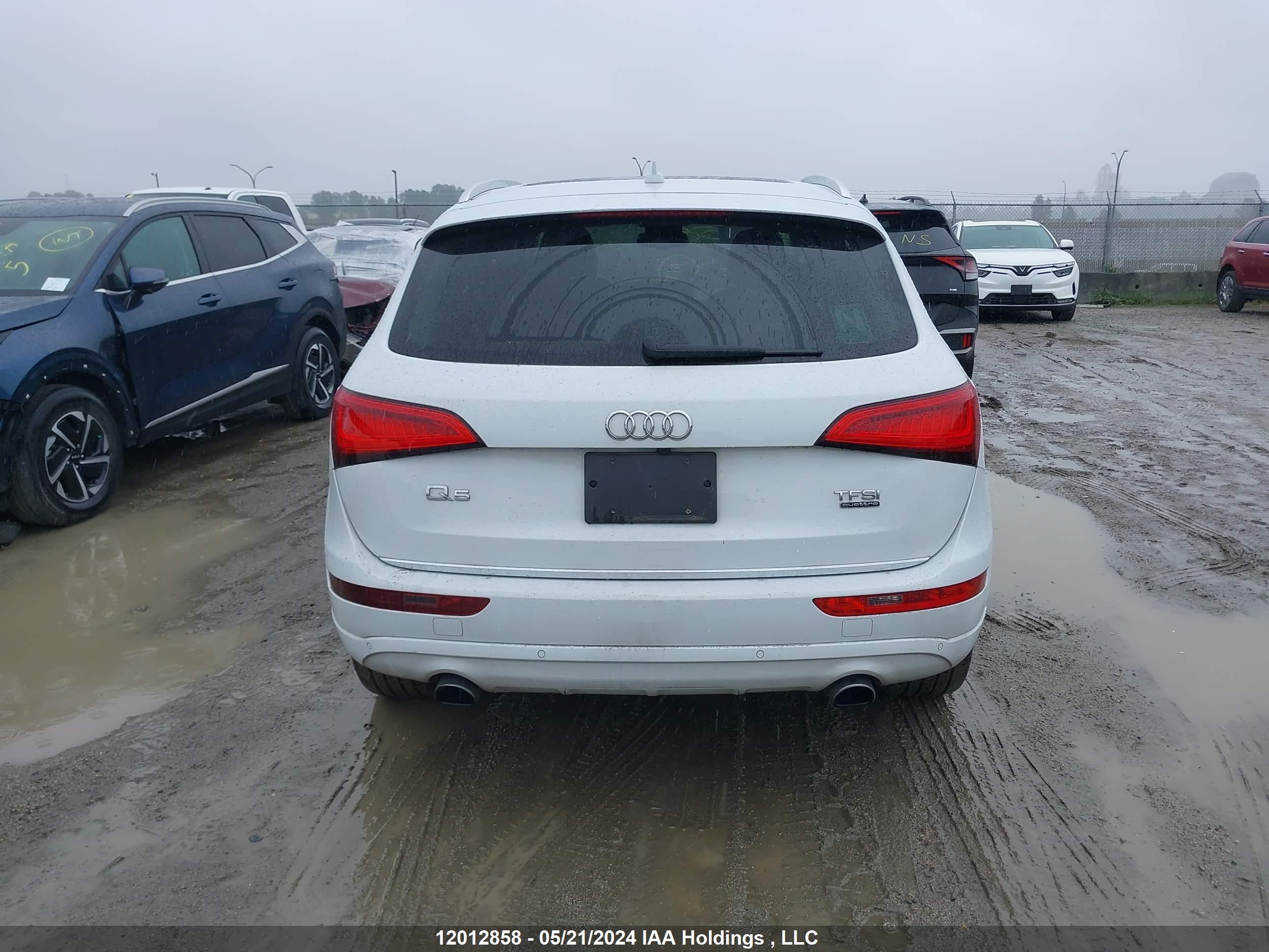 Photo 16 VIN: WA1L2AFP9HA028638 - AUDI Q5 