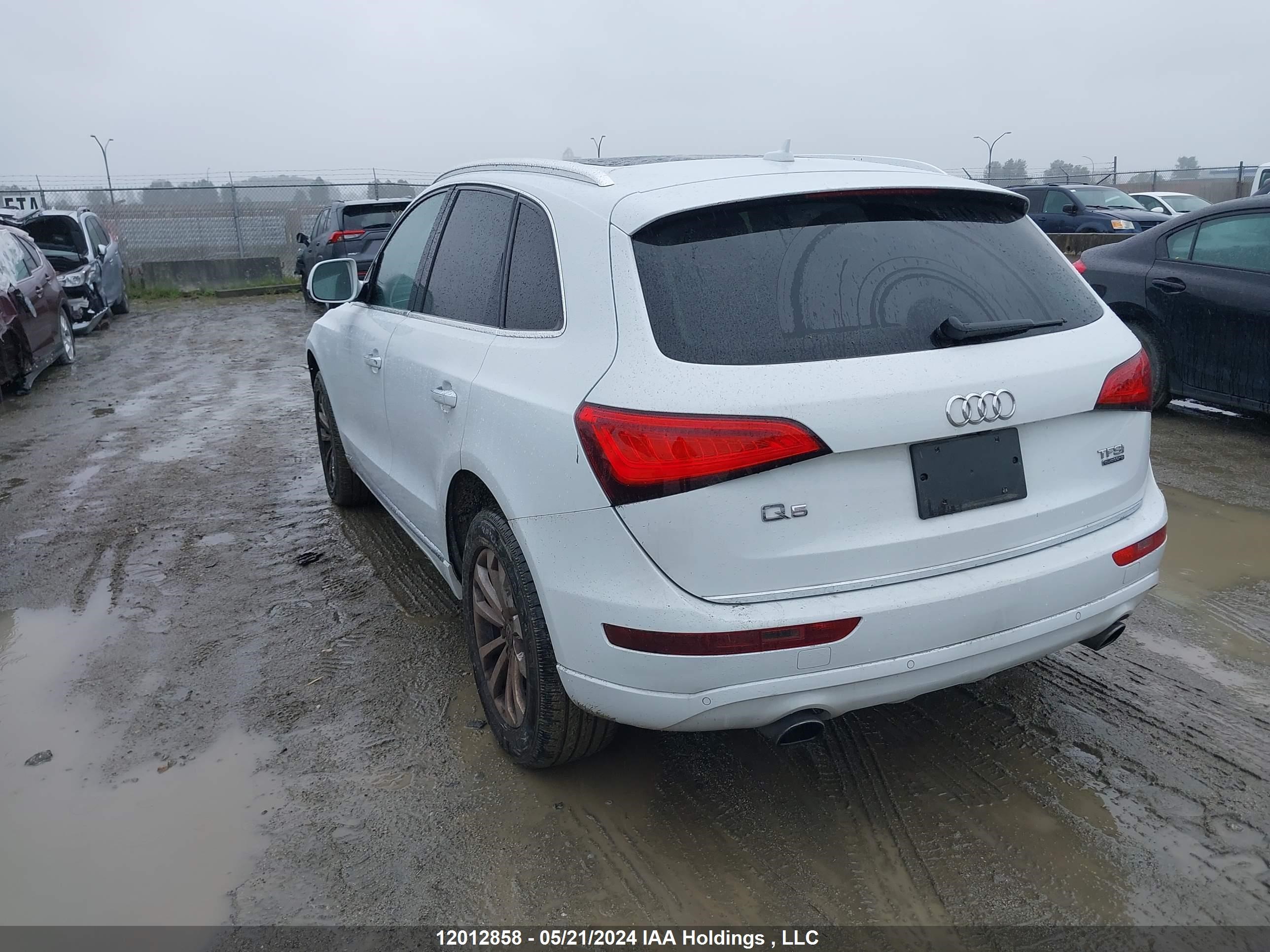 Photo 2 VIN: WA1L2AFP9HA028638 - AUDI Q5 