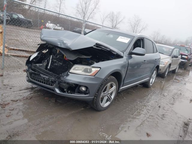 Photo 1 VIN: WA1LFAFP0DA068962 - AUDI Q5 