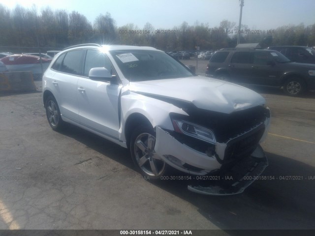 Photo 0 VIN: WA1LFAFP1DA010262 - AUDI Q5 