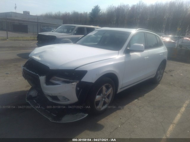 Photo 1 VIN: WA1LFAFP1DA010262 - AUDI Q5 