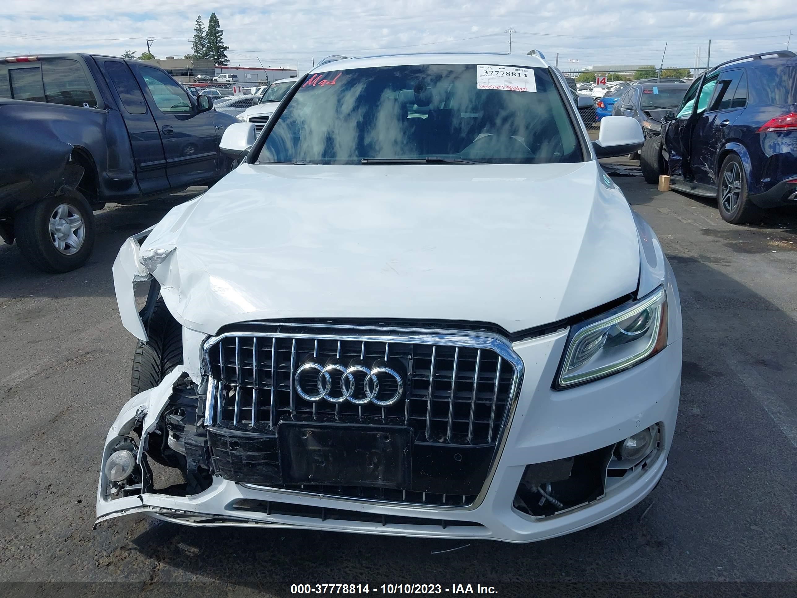 Photo 12 VIN: WA1LFAFP1FA017571 - AUDI Q5 