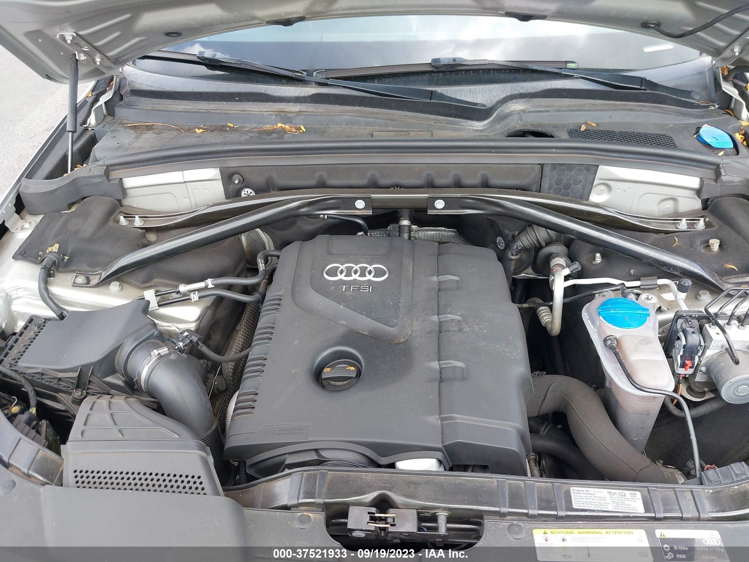 Photo 9 VIN: WA1LFAFP5DA101261 - AUDI Q5 