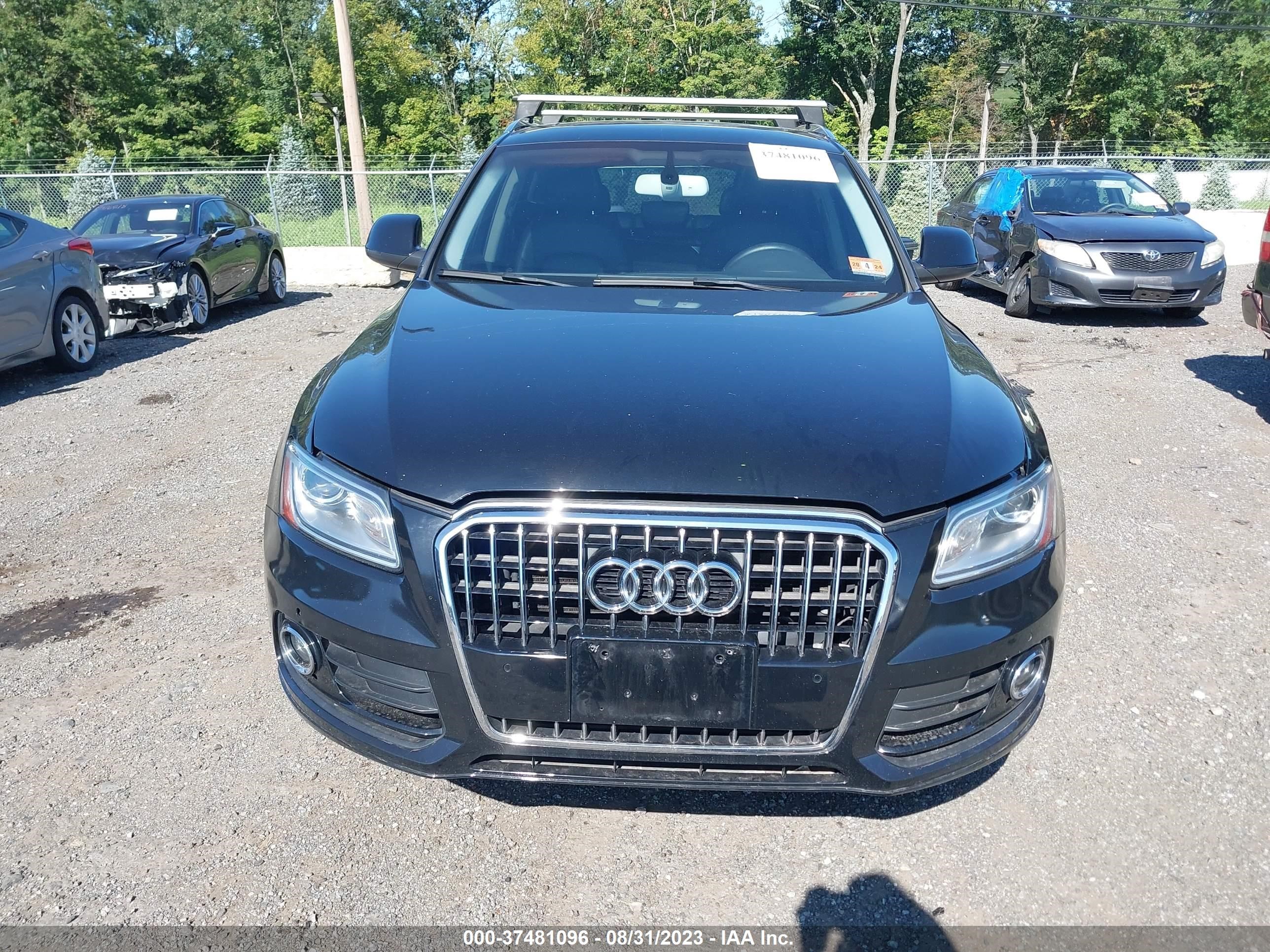 Photo 11 VIN: WA1LFAFP5FA026676 - AUDI Q5 