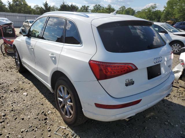 Photo 2 VIN: WA1LFAFP9BA097938 - AUDI Q5 