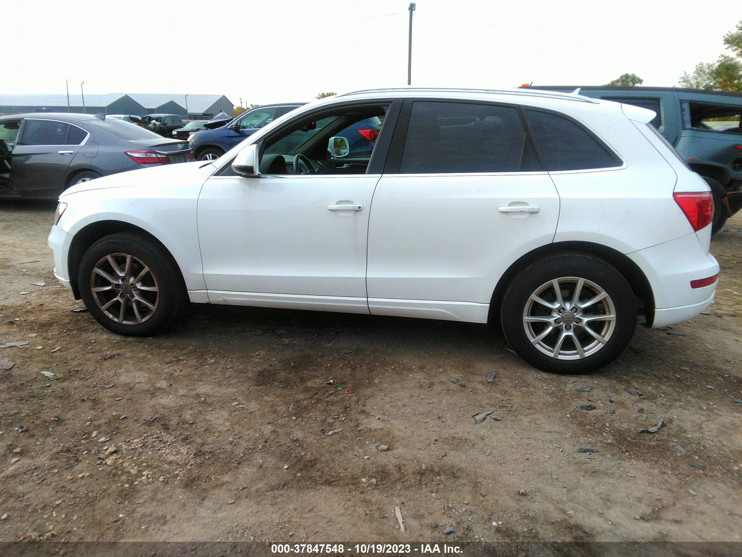 Photo 13 VIN: WA1LFAFP9BA113362 - AUDI Q5 