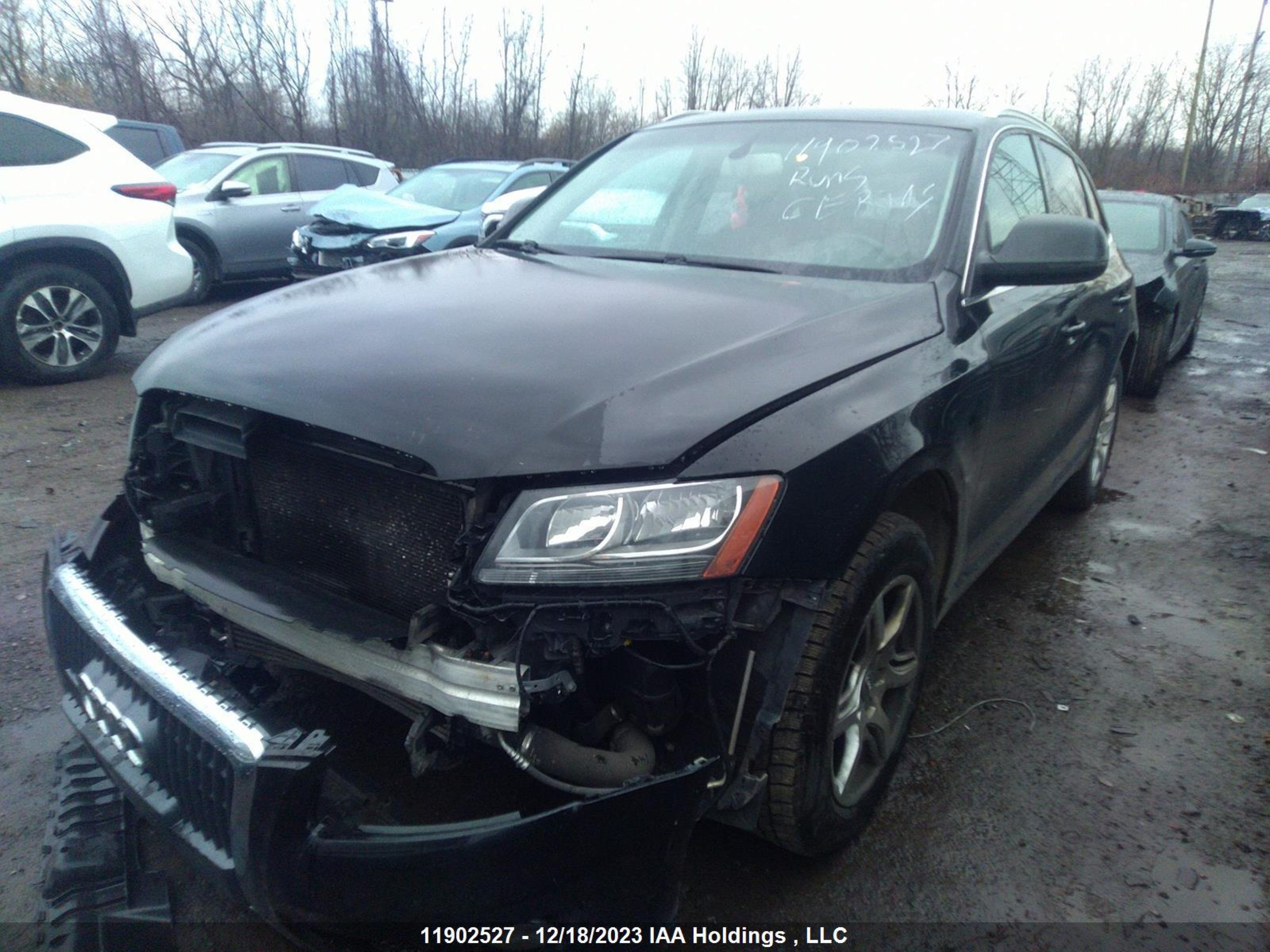 Photo 1 VIN: WA1LFCFP2BA040606 - AUDI Q5 