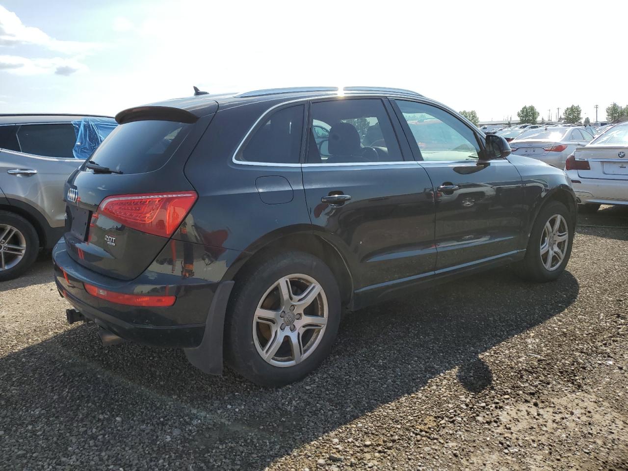 Photo 2 VIN: WA1LFCFP4BA117279 - AUDI Q5 