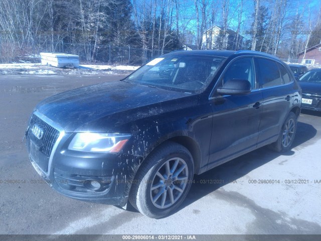 Photo 1 VIN: WA1LKAFP1AA032589 - AUDI Q5 