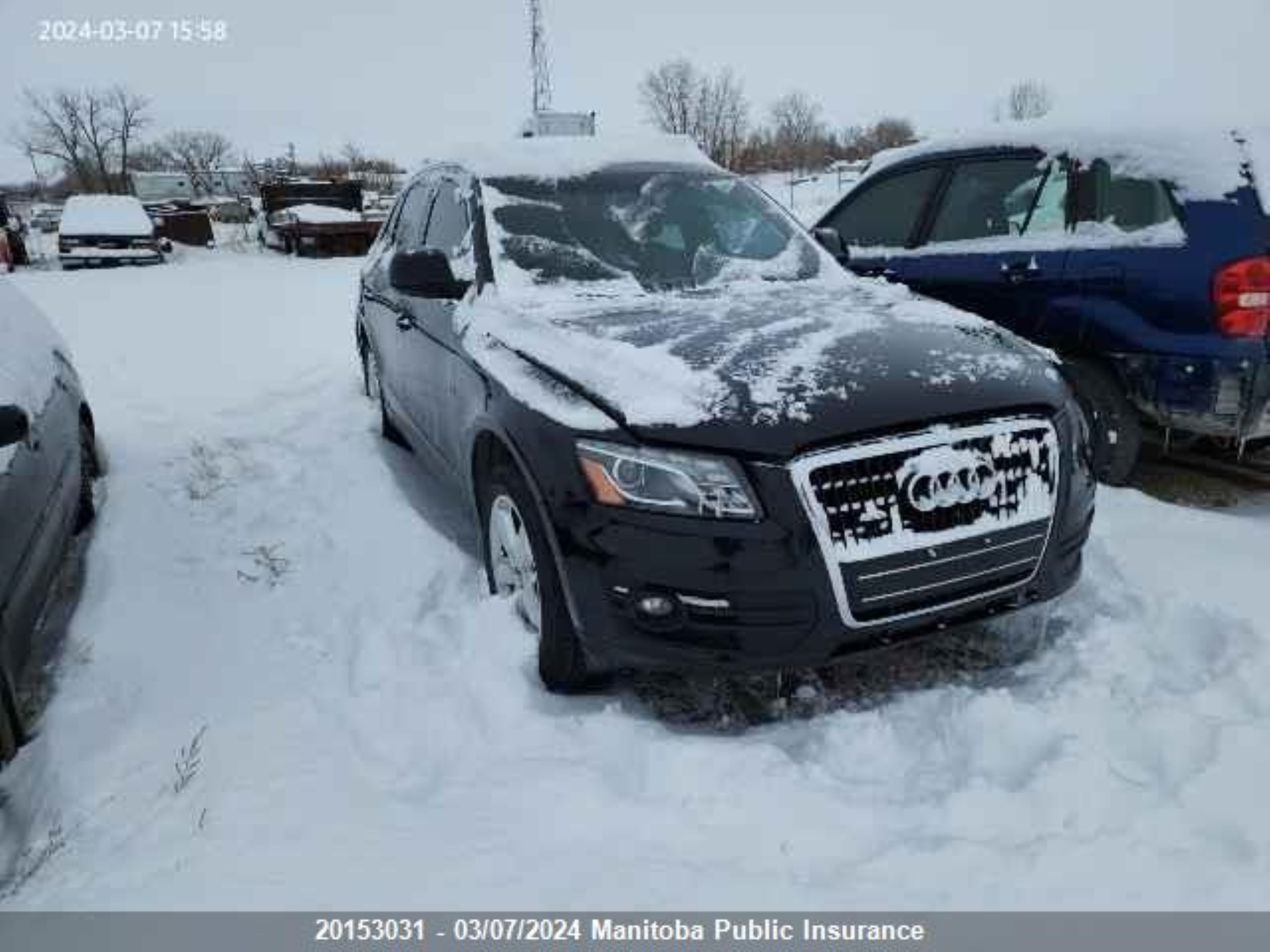 Photo 1 VIN: WA1LKAFP2AA009838 - AUDI Q5 