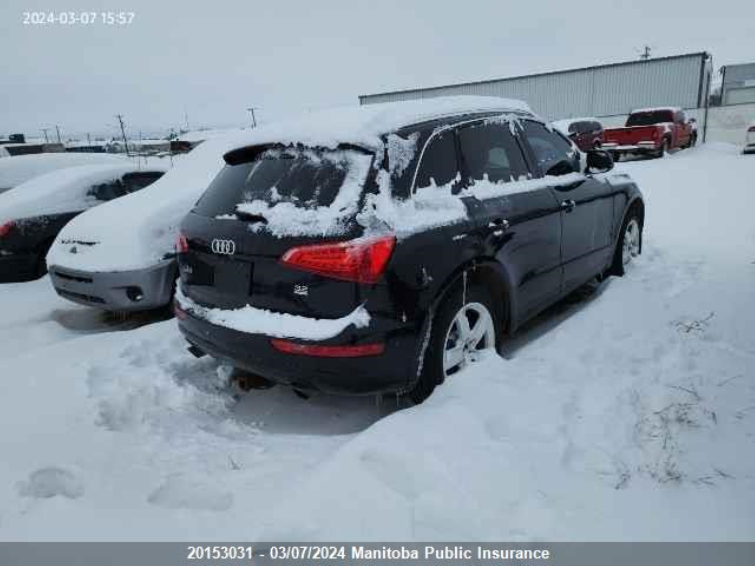 Photo 2 VIN: WA1LKAFP2AA009838 - AUDI Q5 