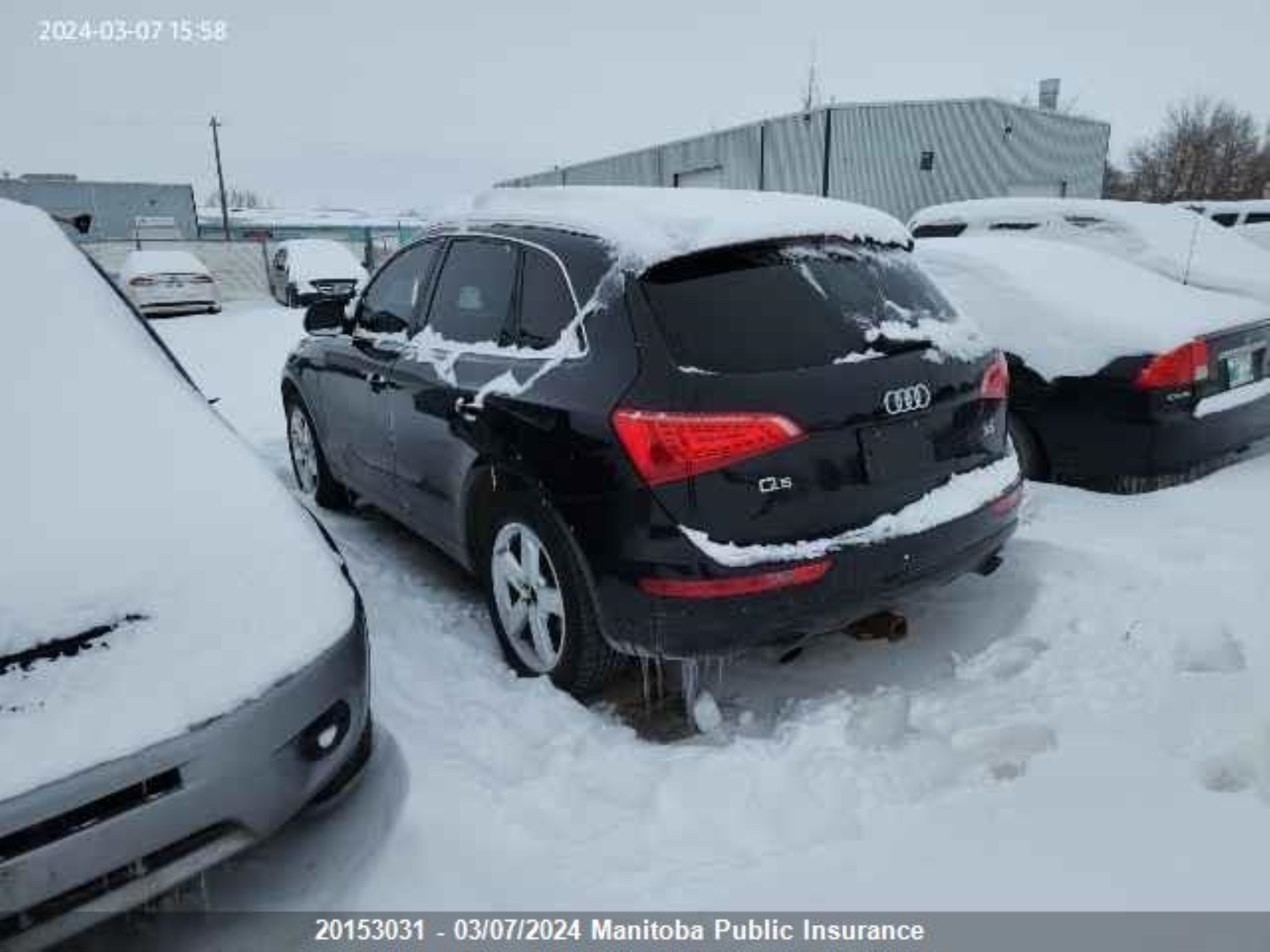 Photo 3 VIN: WA1LKAFP2AA009838 - AUDI Q5 