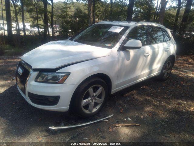 Photo 1 VIN: WA1LKAFP2AA108353 - AUDI Q5 