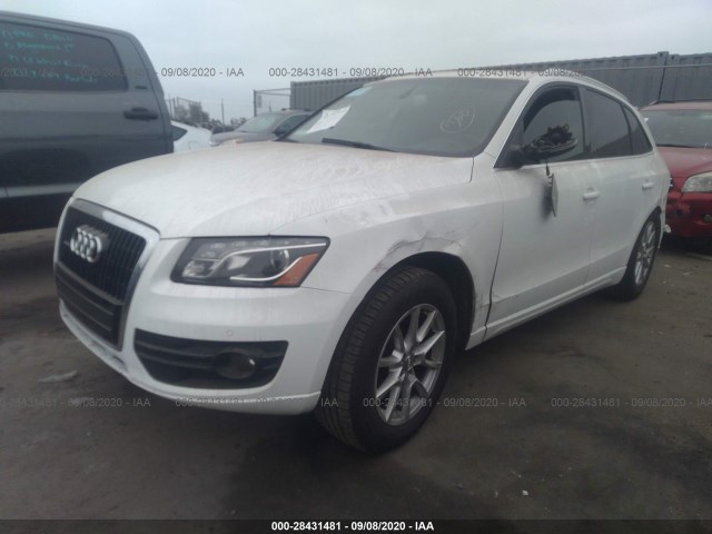 Photo 1 VIN: WA1LKAFP3AA013302 - AUDI Q5 