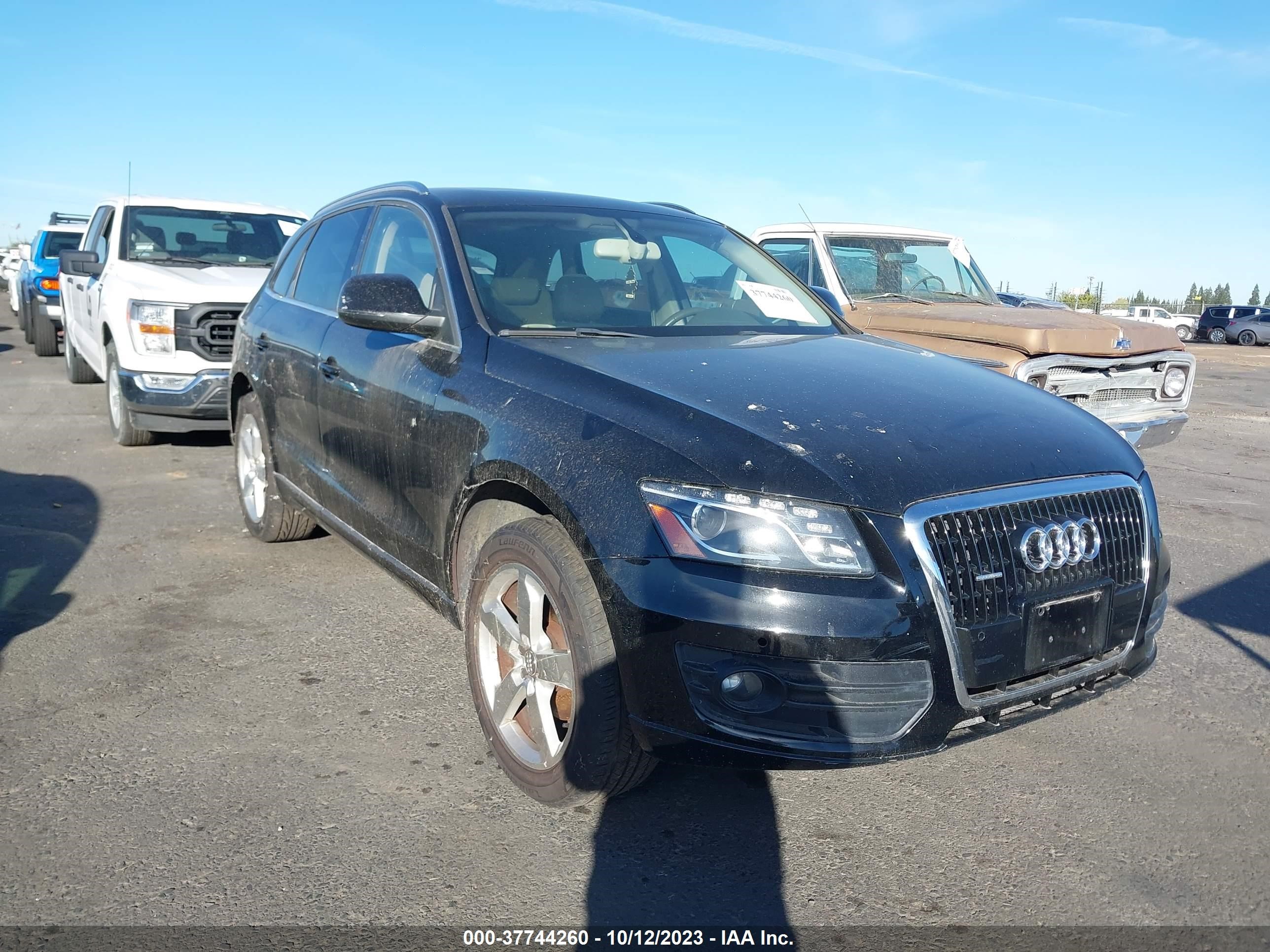 Photo 0 VIN: WA1LKAFP3AA064198 - AUDI Q5 