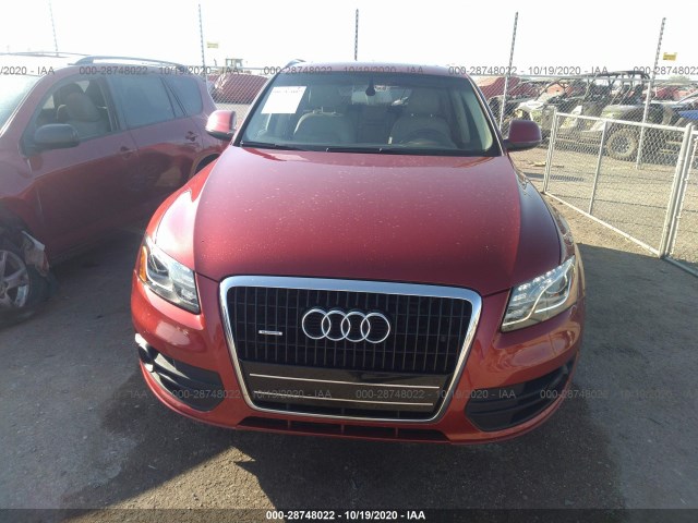 Photo 5 VIN: WA1LKAFP5AA092830 - AUDI Q5 