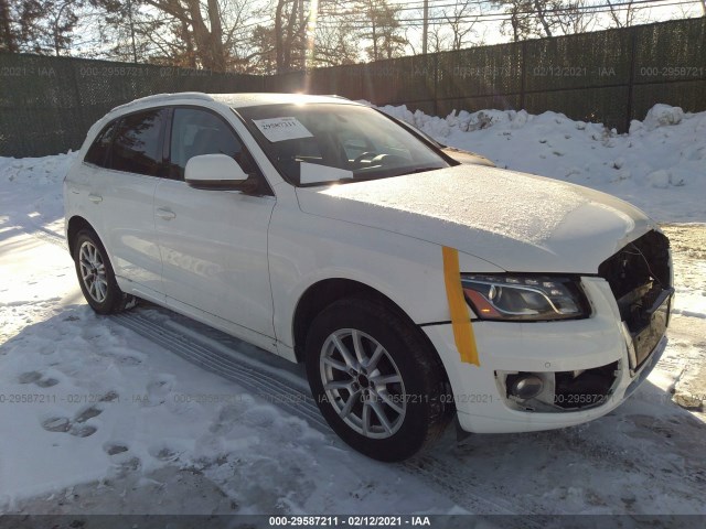 Photo 0 VIN: WA1LKAFP6AA064339 - AUDI Q5 