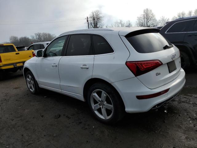 Photo 1 VIN: WA1LKAFP7AA025145 - AUDI Q5 