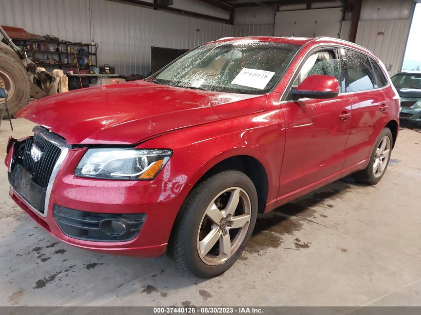 Photo 1 VIN: WA1LKAFP9AA006466 - AUDI Q5 