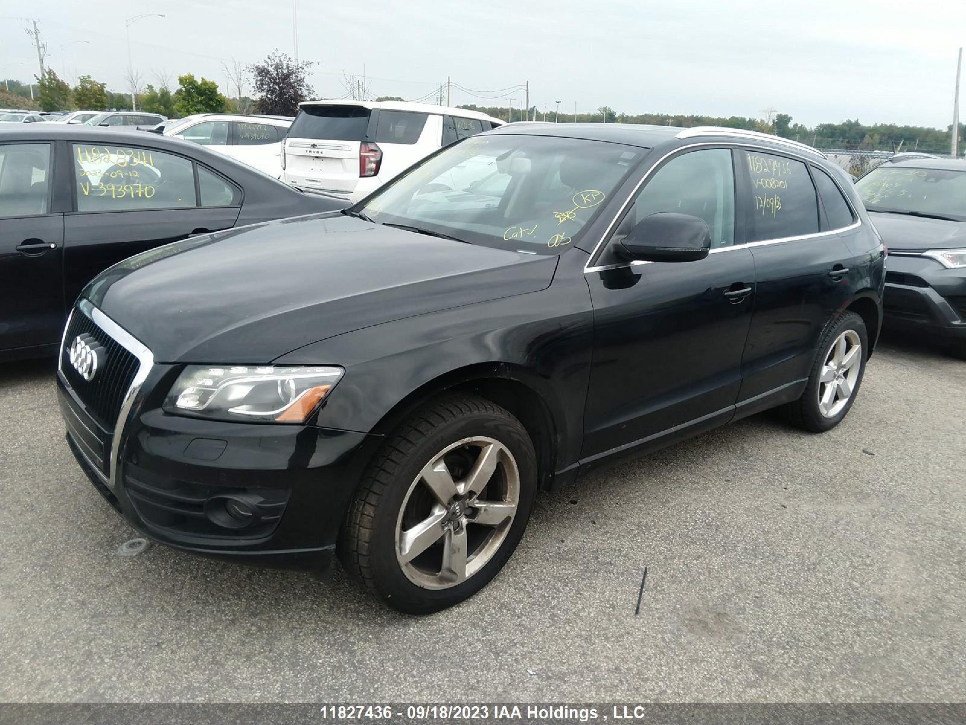 Photo 1 VIN: WA1LKCFP0AA008201 - AUDI Q5 