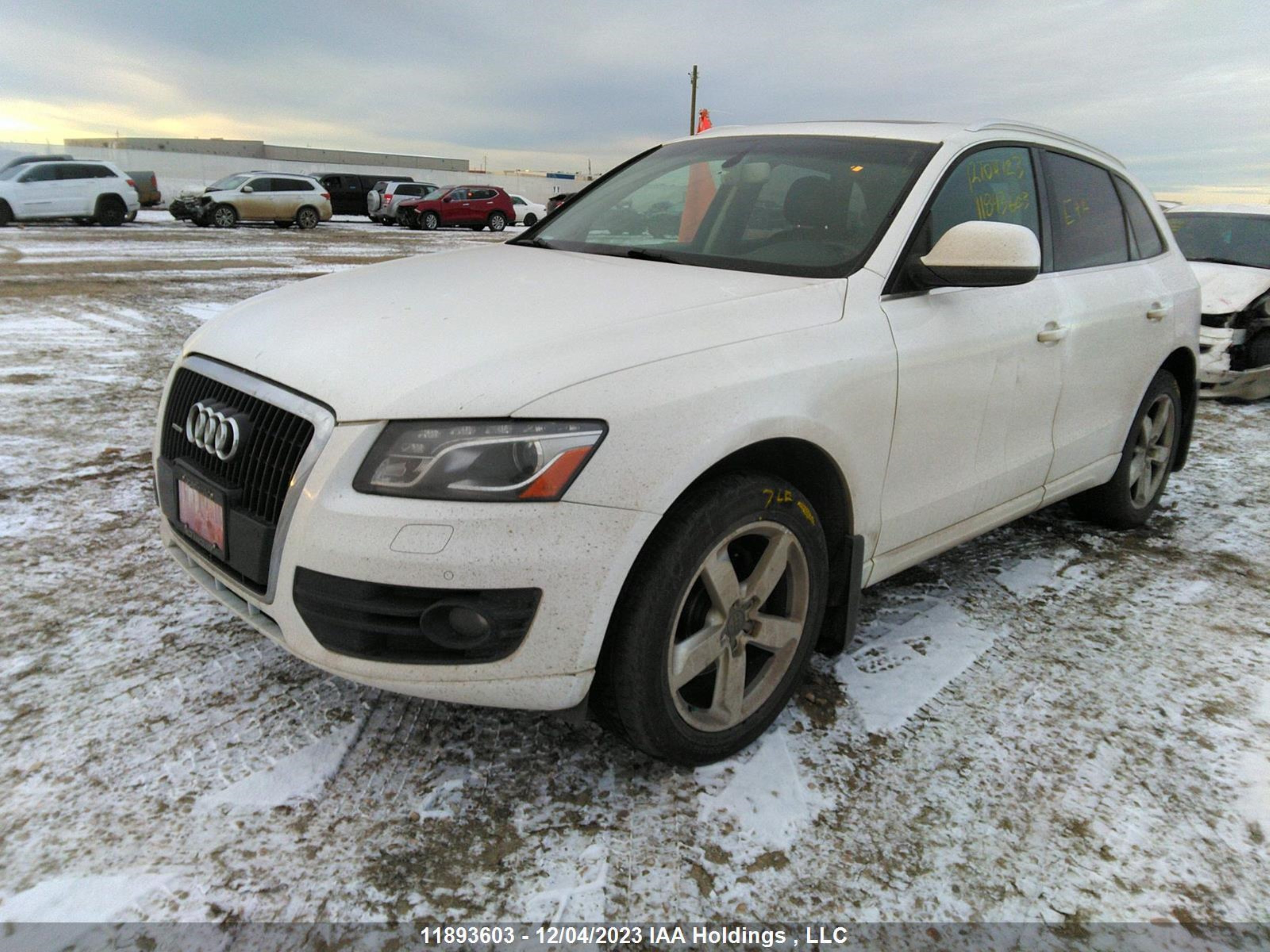 Photo 1 VIN: WA1LKCFP2AA031995 - AUDI Q5 