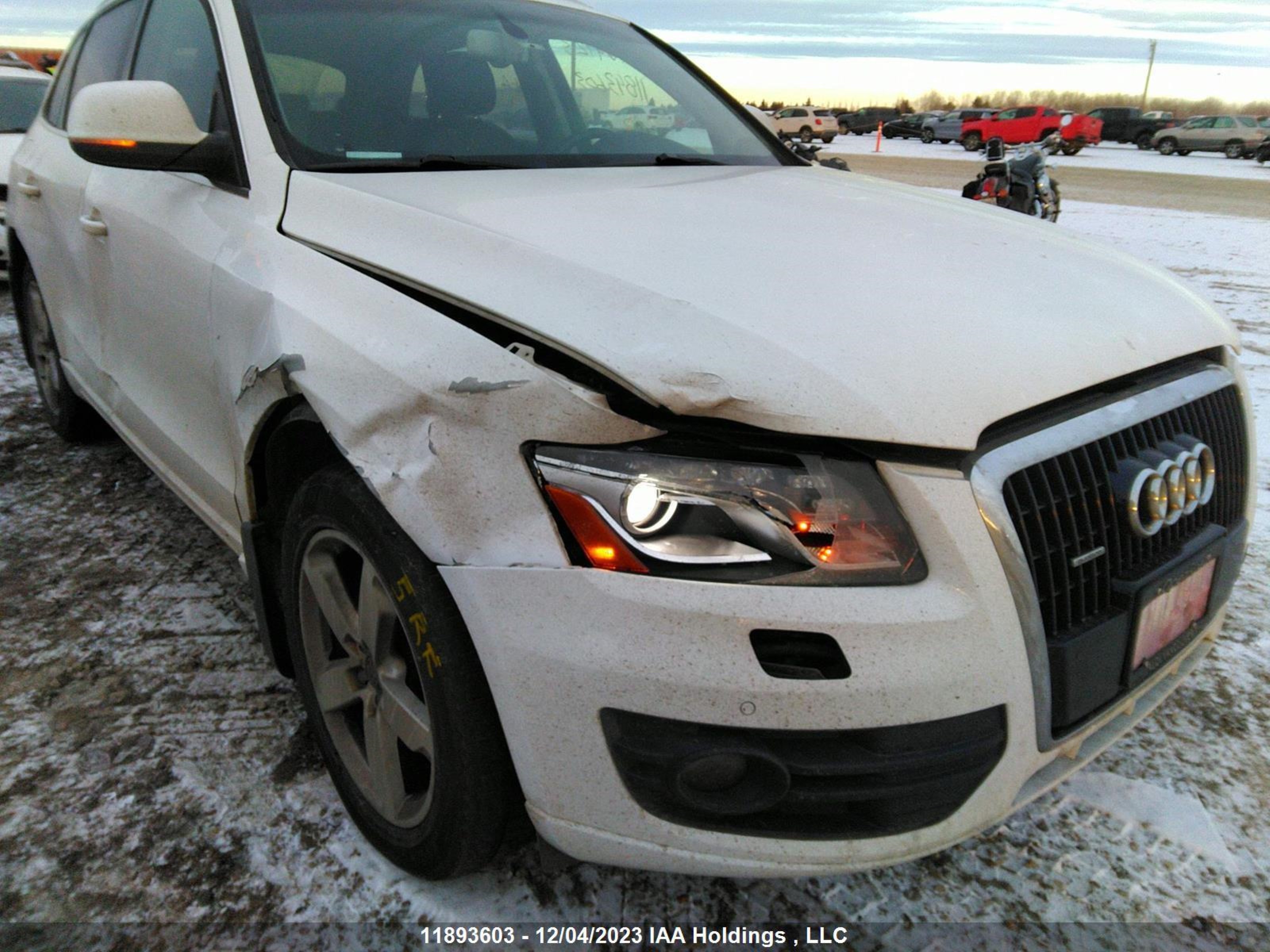 Photo 5 VIN: WA1LKCFP2AA031995 - AUDI Q5 