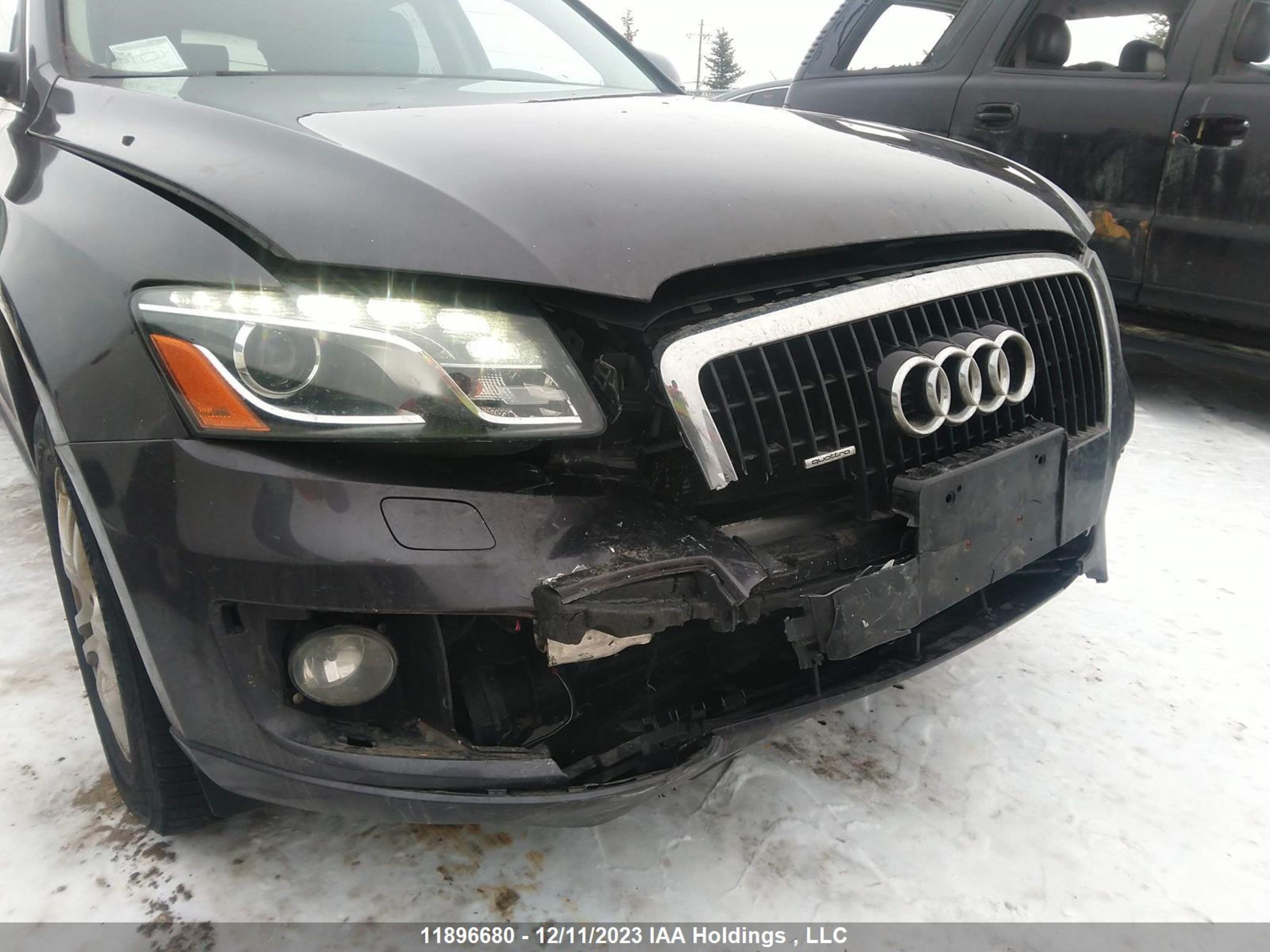 Photo 5 VIN: WA1LKCFP7AA016747 - AUDI Q5 