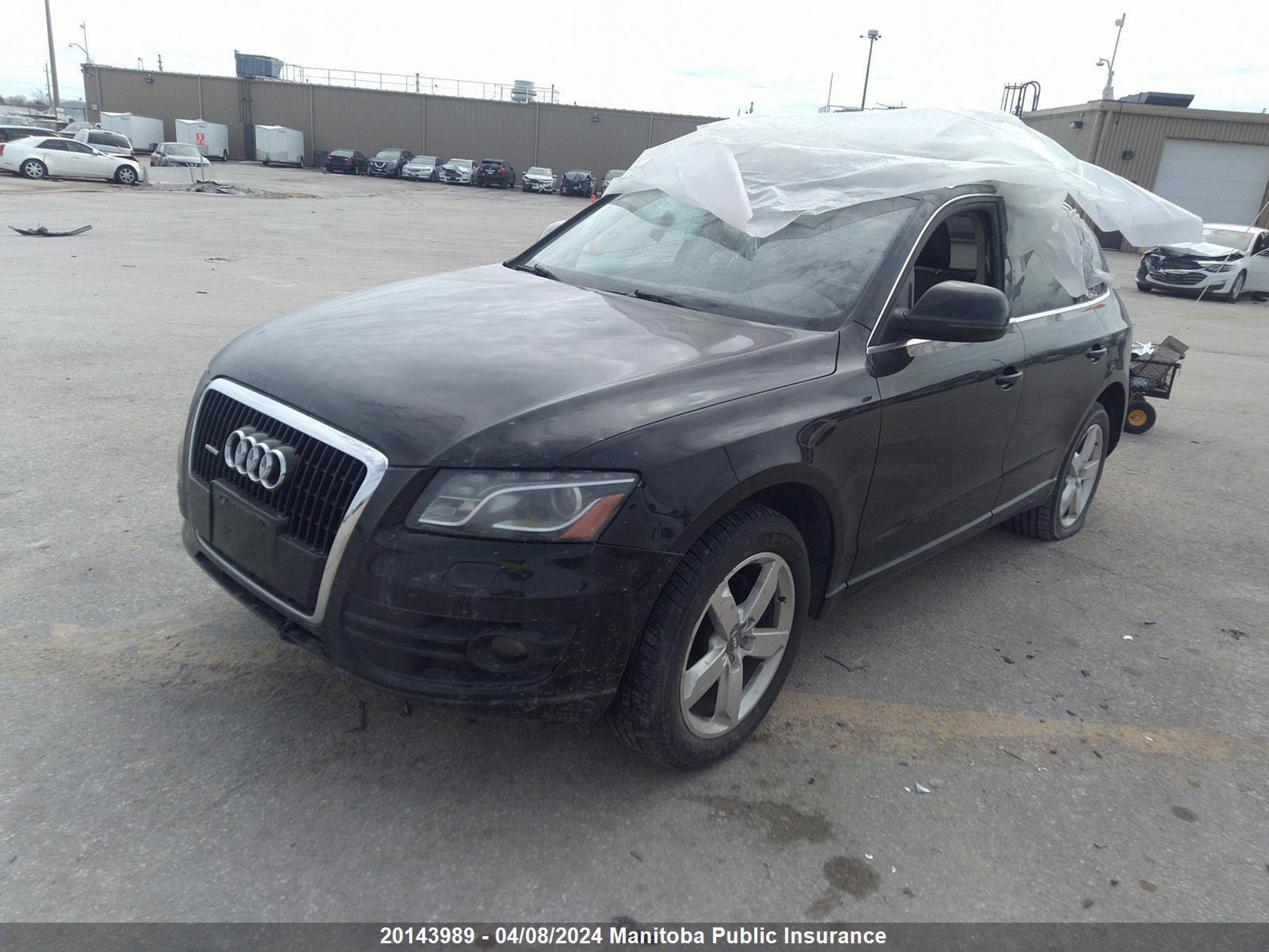 Photo 1 VIN: WA1LKCFP8AA015557 - AUDI Q5 