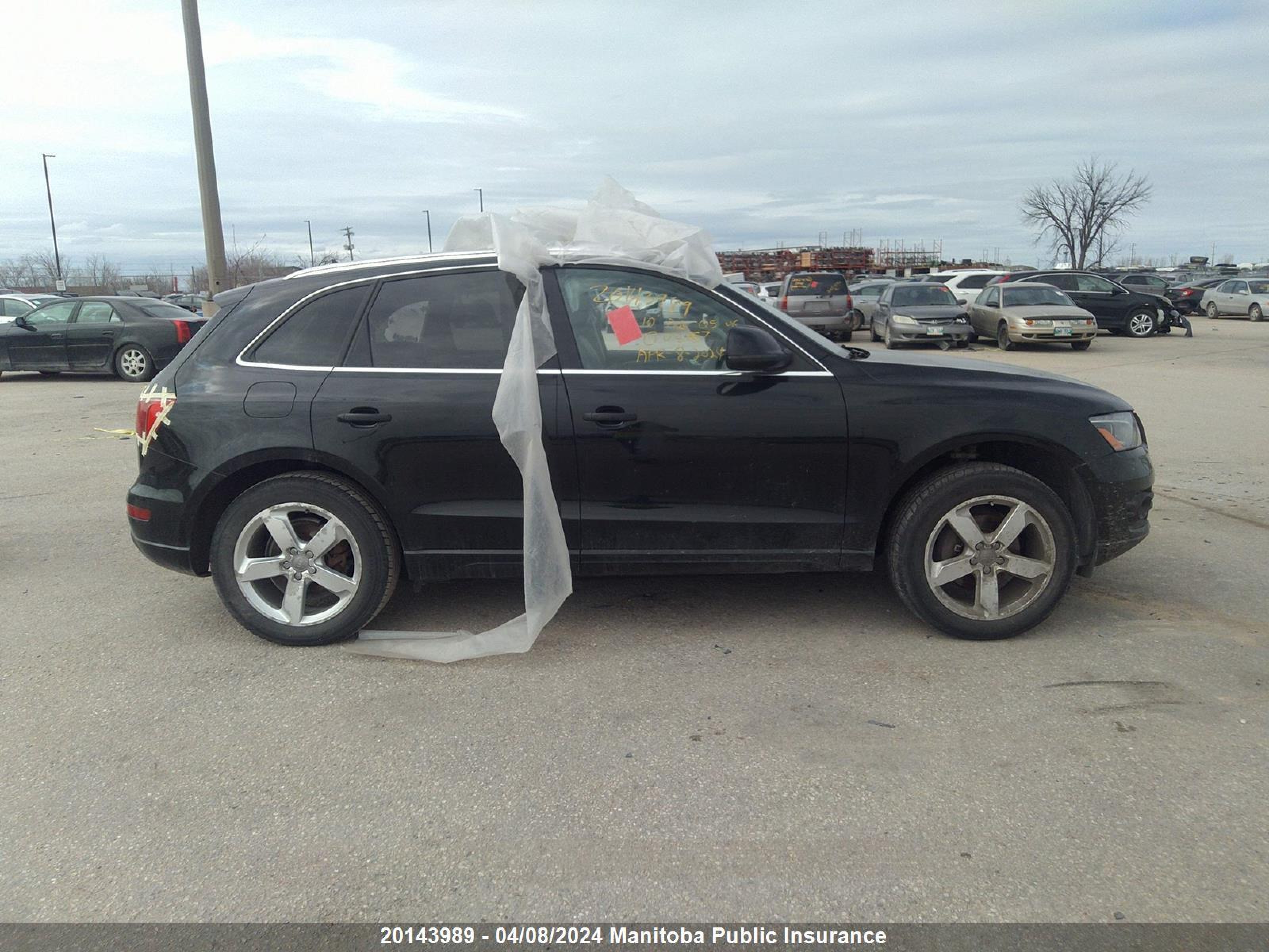 Photo 12 VIN: WA1LKCFP8AA015557 - AUDI Q5 