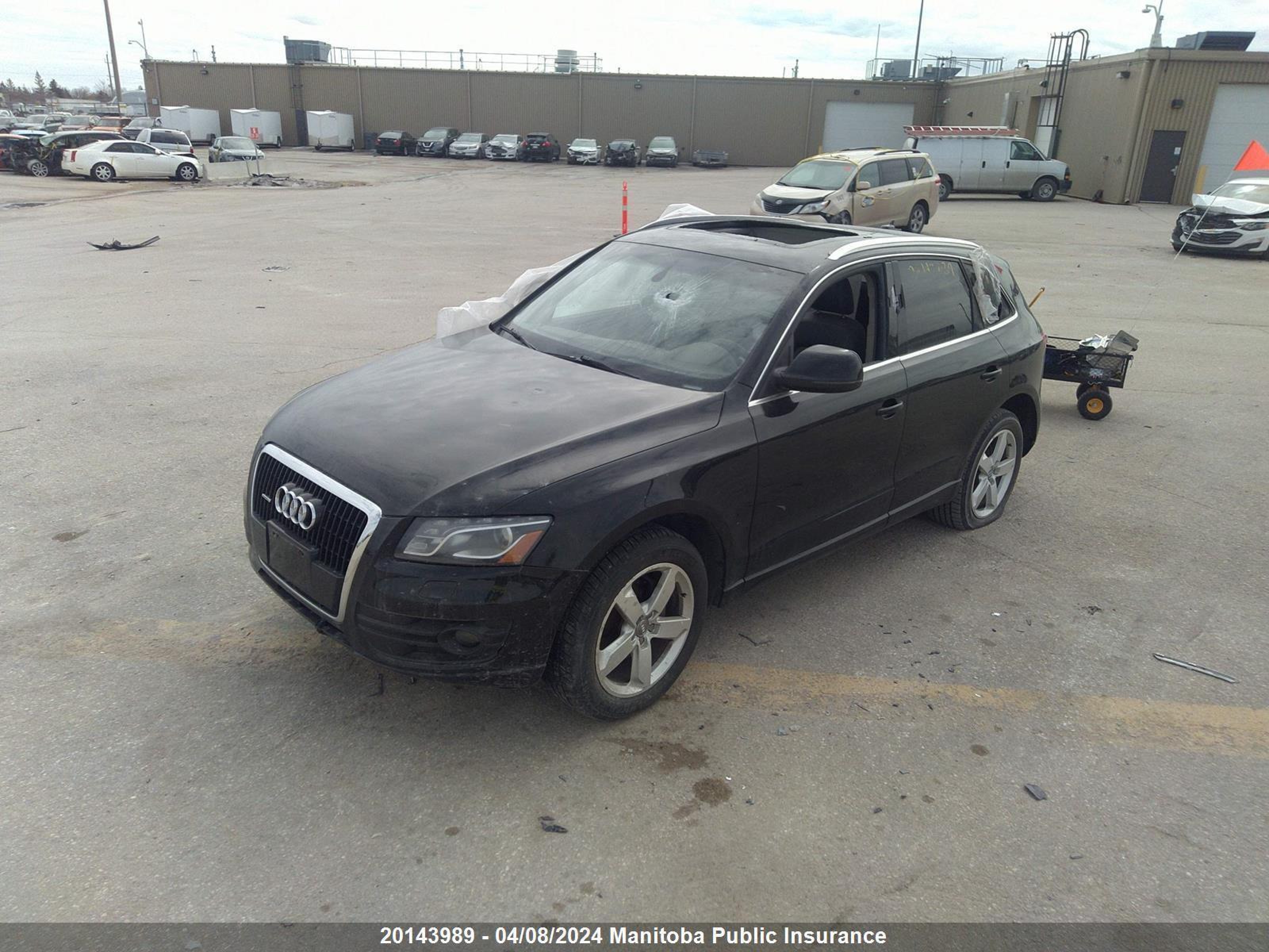 Photo 5 VIN: WA1LKCFP8AA015557 - AUDI Q5 