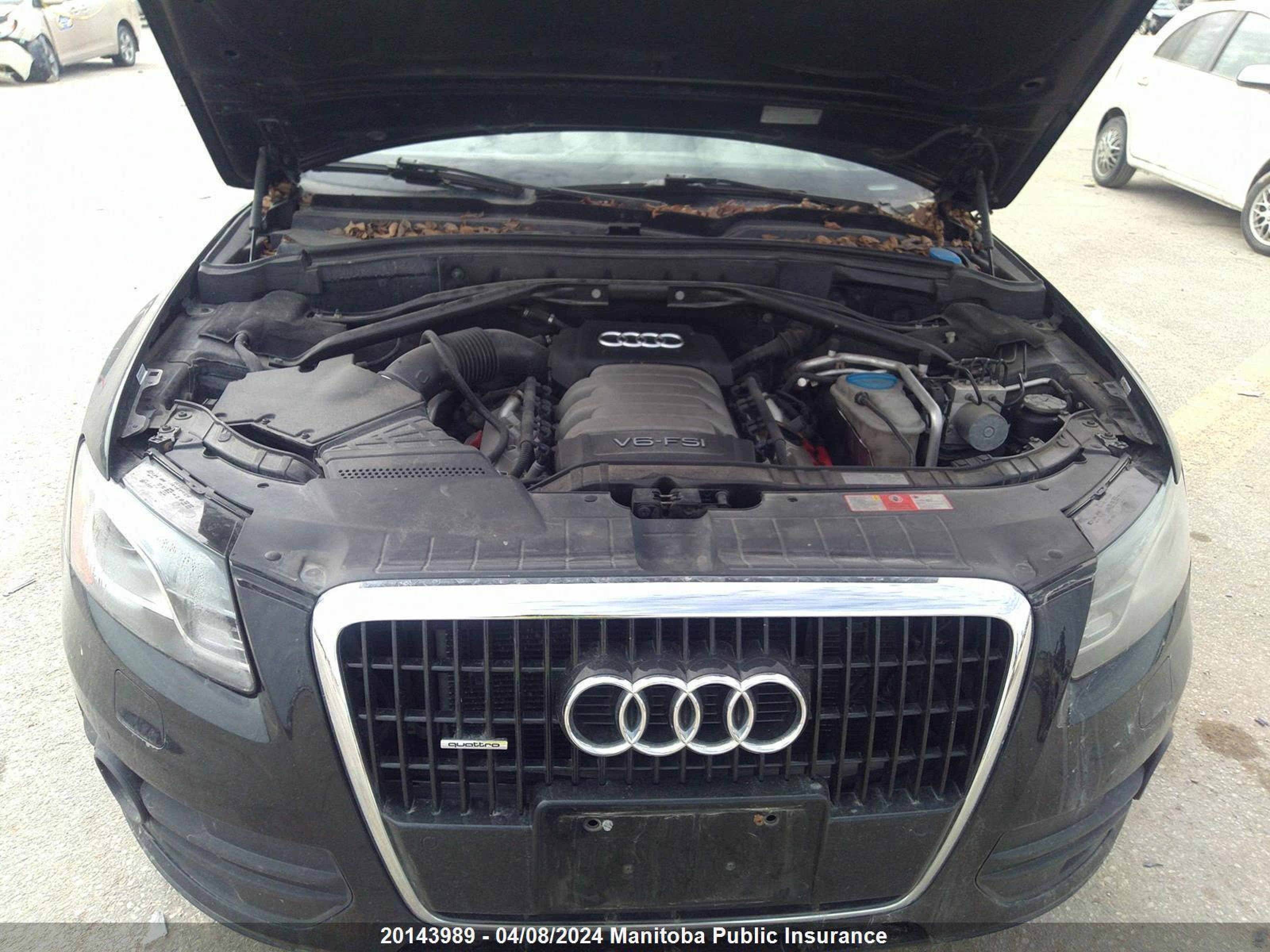 Photo 9 VIN: WA1LKCFP8AA015557 - AUDI Q5 