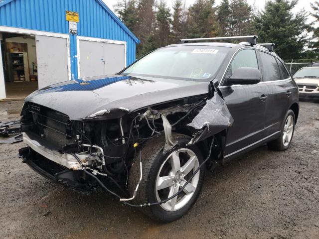 Photo 1 VIN: WA1LKCFP9AA019827 - AUDI Q5 PREMIUM 