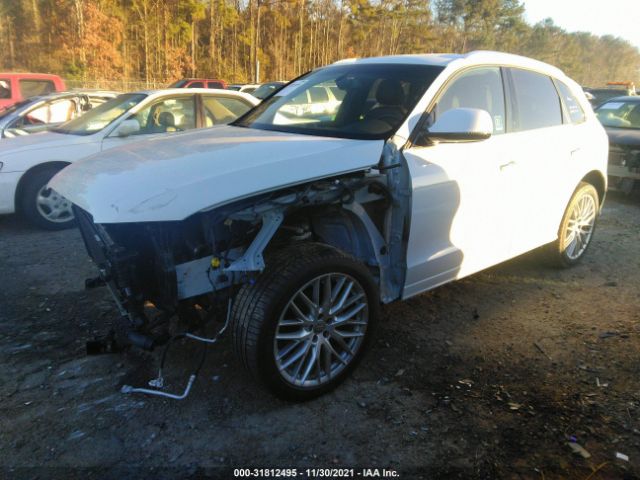 Photo 1 VIN: WA1M2AFP9HA075981 - AUDI Q5 