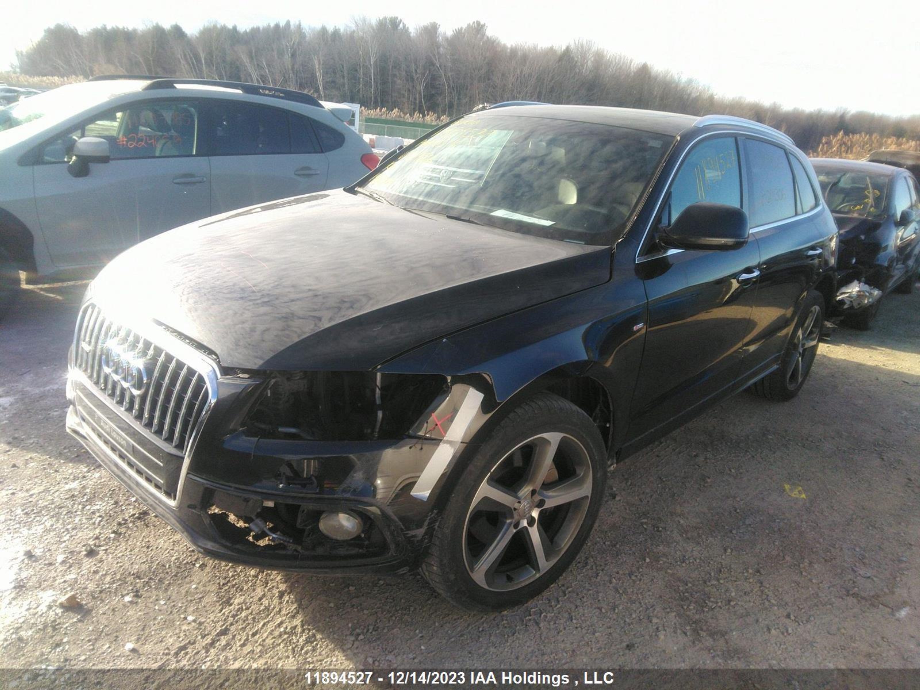 Photo 1 VIN: WA1M7AFP7GA014306 - AUDI Q5 