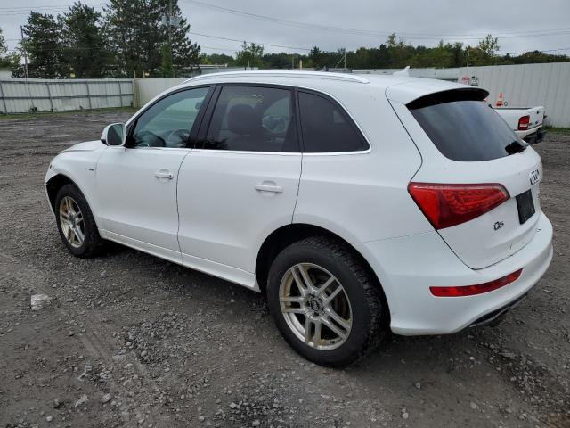 Photo 1 VIN: WA1MKAFP5AA037461 - AUDI Q5 