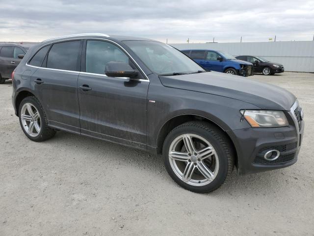 Photo 3 VIN: WA1MKCFP6AA034905 - AUDI Q5 